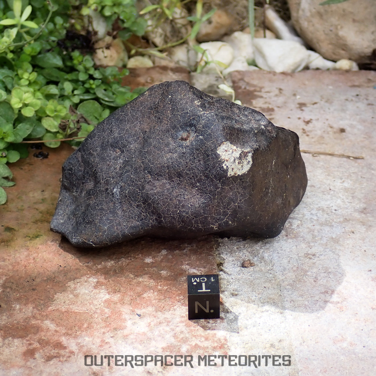 Hammadah al Hamra 346 (aka. Ghadamis) - L6 Ordinary Chondrite 375g