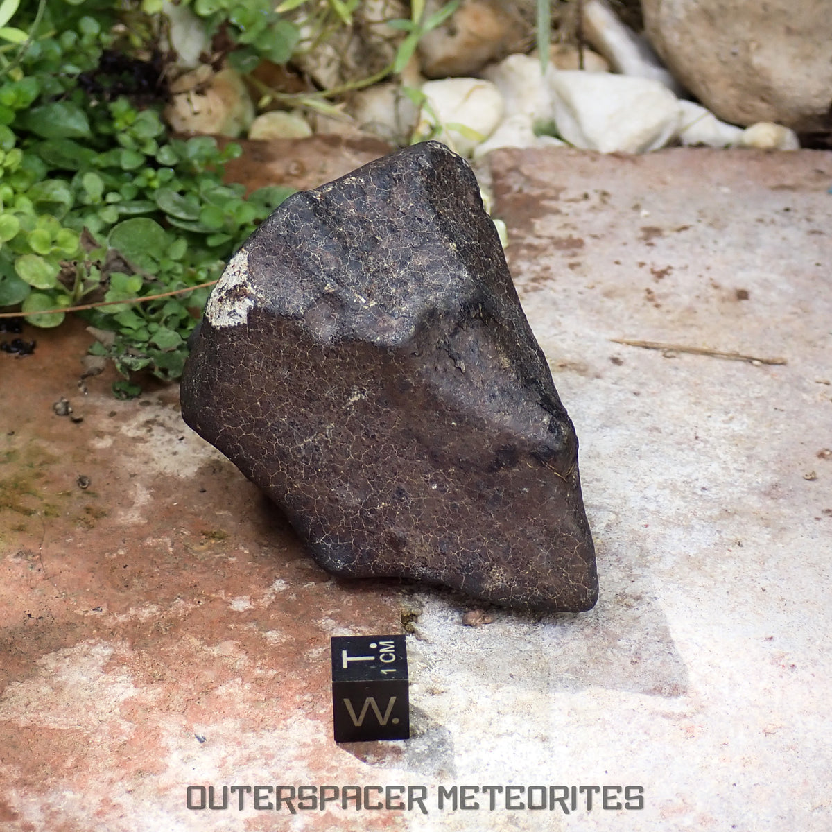 Hammadah al Hamra 346 (aka. Ghadamis) - L6 Ordinary Chondrite 375g