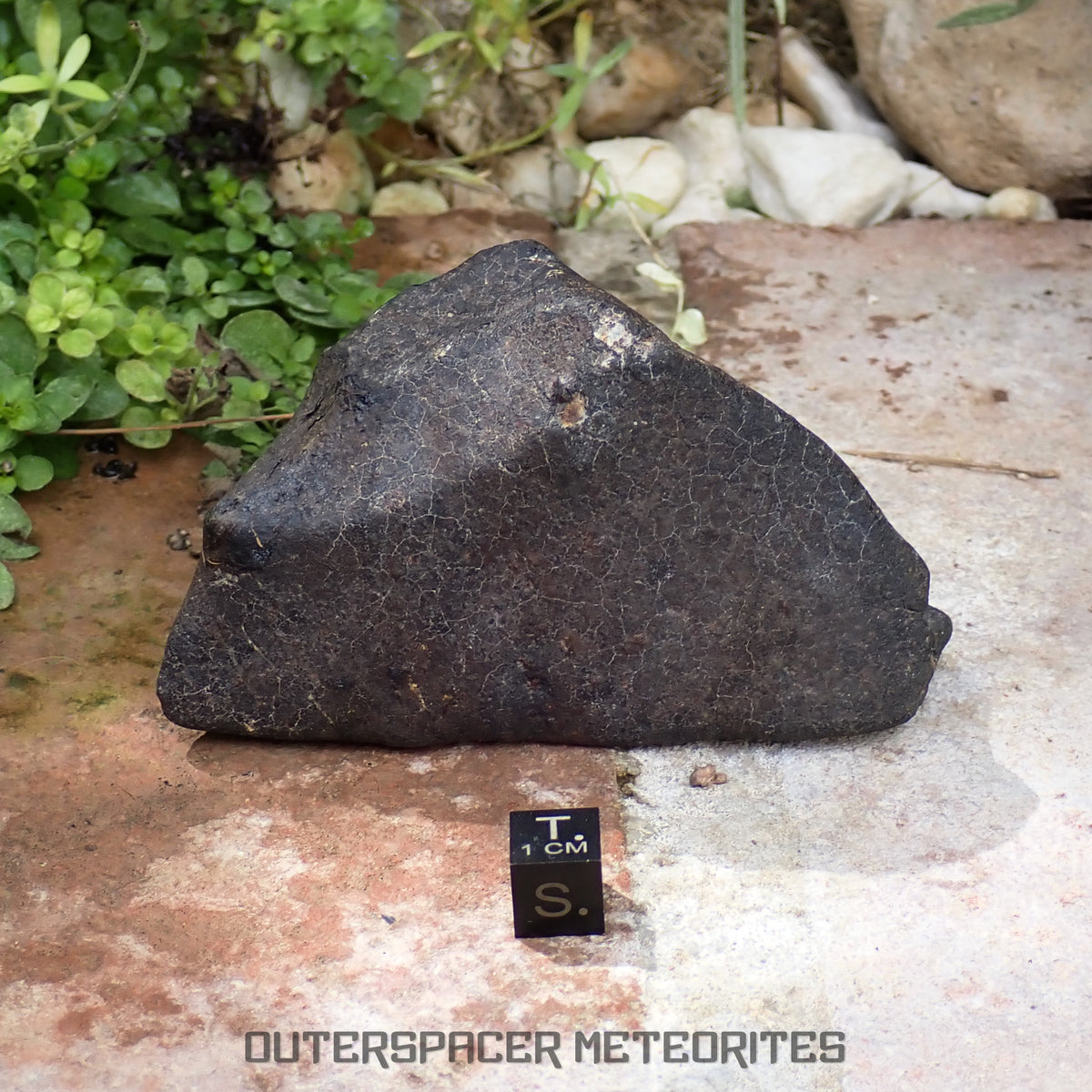 Hammadah al Hamra 346 (aka. Ghadamis) - L6 Ordinary Chondrite 375g