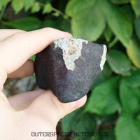 Hammadah al Hamra 346 (aka. Ghadamis) - L6 Ordinary Chondrite 245g