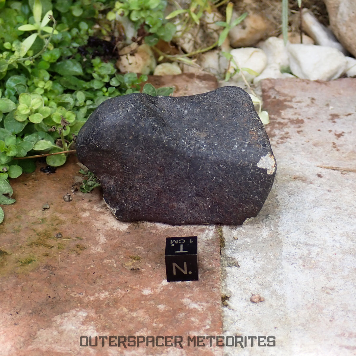 Hammadah al Hamra 346 (aka. Ghadamis) - L6 Ordinary Chondrite 245g