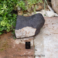 Hammadah al Hamra 346 (aka. Ghadamis) - L6 Ordinary Chondrite 245g