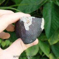Hammadah al Hamra 346 (aka. Ghadamis) - L6 Ordinary Chondrite 245g