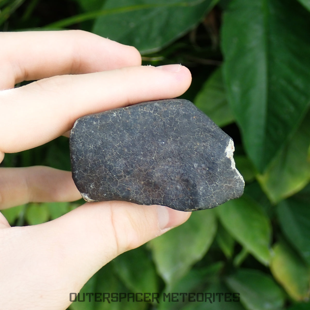 Hammadah al Hamra 346 (aka. Ghadamis) - L6 Ordinary Chondrite 245g