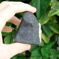 Hammadah al Hamra 346 (aka. Ghadamis) - L6 Ordinary Chondrite 245g