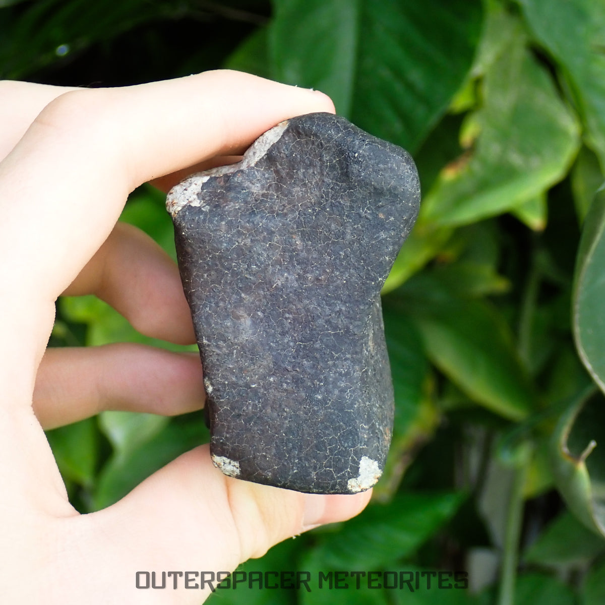 Hammadah al Hamra 346 (aka. Ghadamis) - L6 Ordinary Chondrite 245g