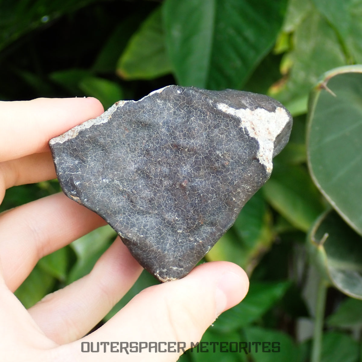 Hammadah al Hamra 346 (aka. Ghadamis) - L6 Ordinary Chondrite 245g