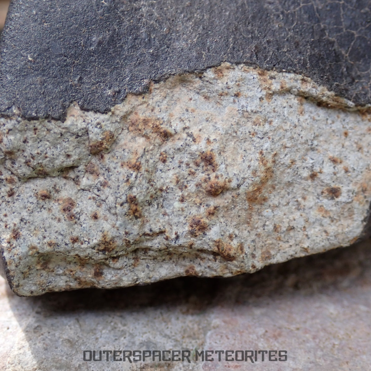 Hammadah al Hamra 346 (aka. Ghadamis) - L6 Ordinary Chondrite 245g