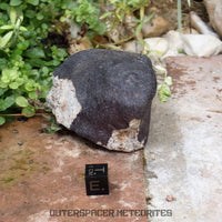 Hammadah al Hamra 346 (aka. Ghadamis) - L6 Ordinary Chondrite 245g