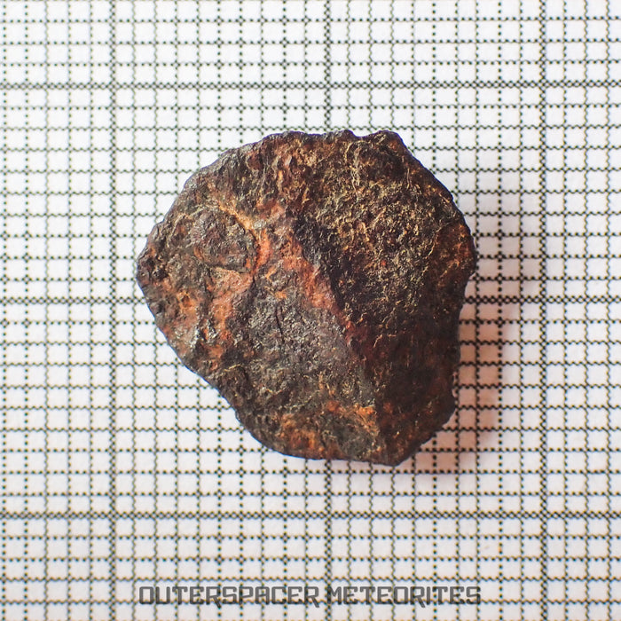 Gibeon - Iron, IVA  -  Complete Individual  -  3.4g  -  Namibia
