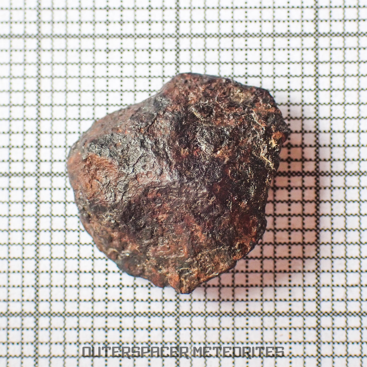 Gibeon - Iron, IVA  -  Complete Individual  -  3.4g  -  Namibia