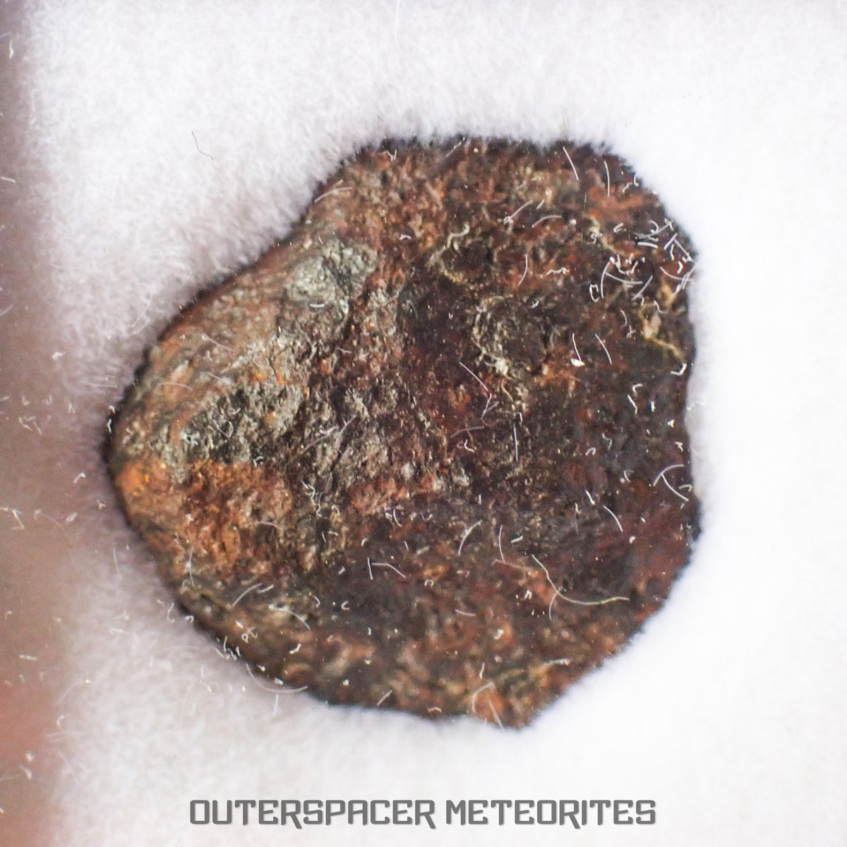 Gibeon - Iron, IVA  -  Complete Individual  -  3.4g  -  Namibia