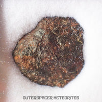 Gibeon - Iron, IVA  -  Complete Individual  -  3.4g  -  Namibia