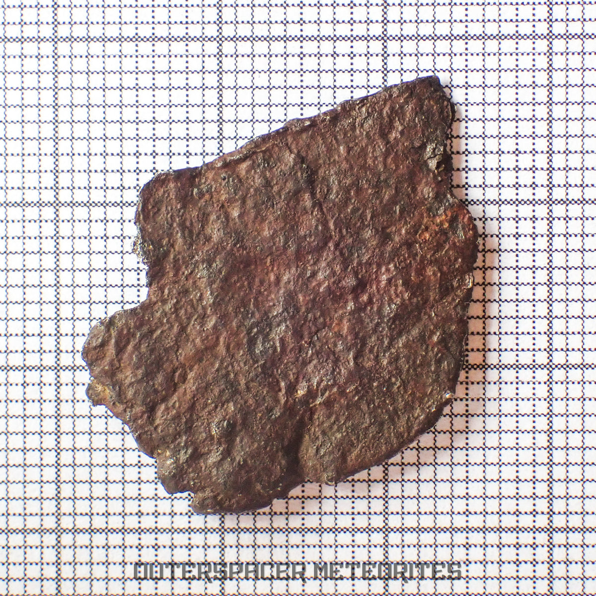 Gibeon - Iron, IVA - Complete Individual - 4.3g - Namibia