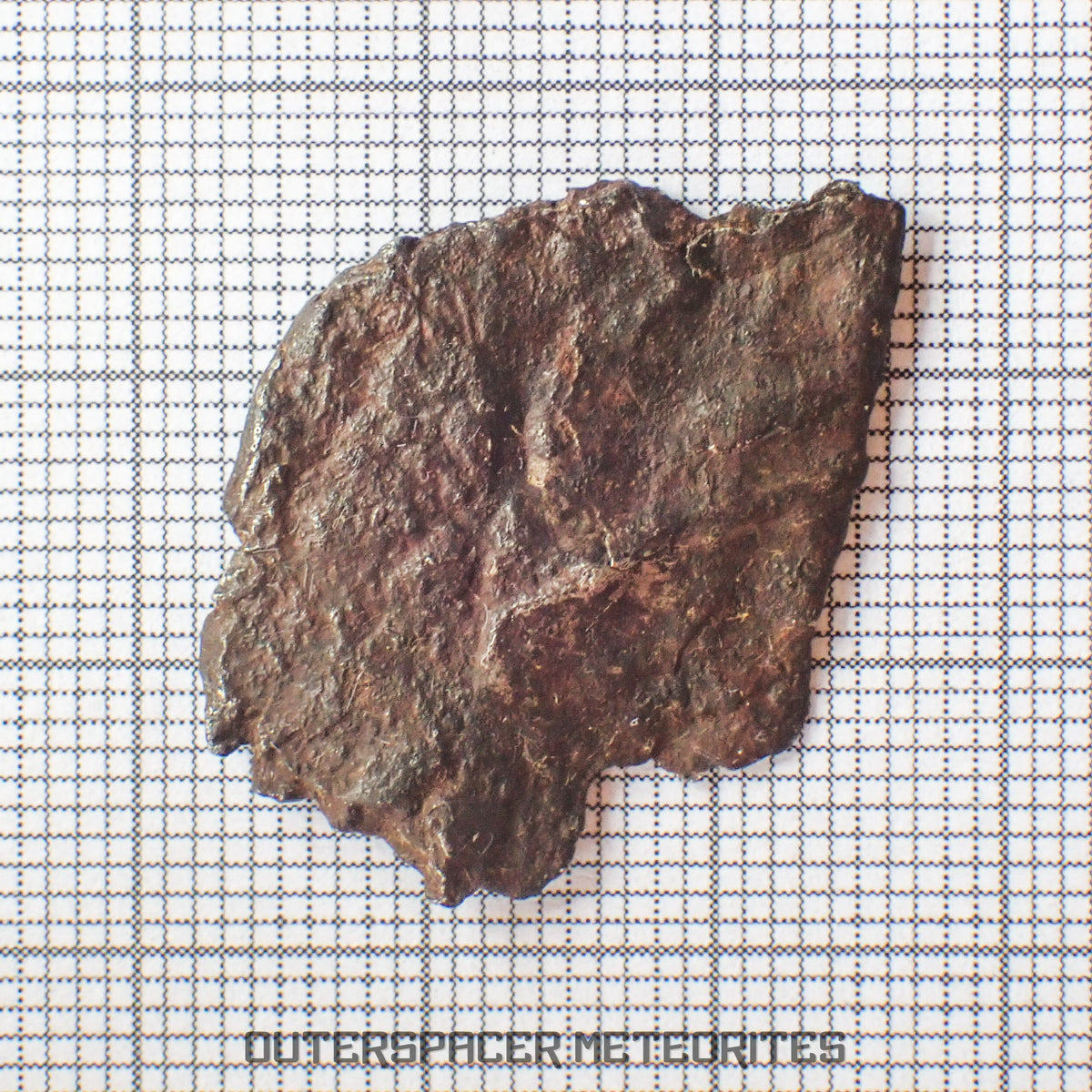 Gibeon - Iron, IVA - Complete Individual - 4.3g - Namibia