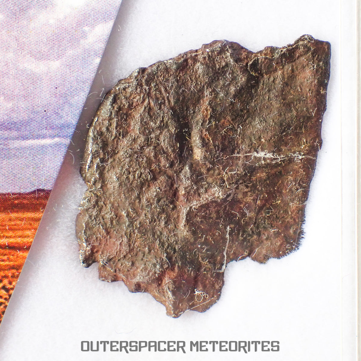 Gibeon - Iron, IVA - Complete Individual - 4.3g - Namibia