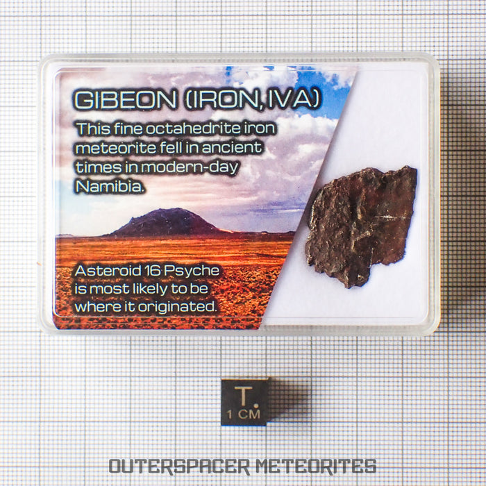 Gibeon - Iron, IVA - Complete Individual - 4.3g - Namibia