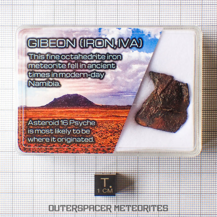 Gibeon - Iron, IVA  -  Complete Individual  -  6.79g  -  Namibia