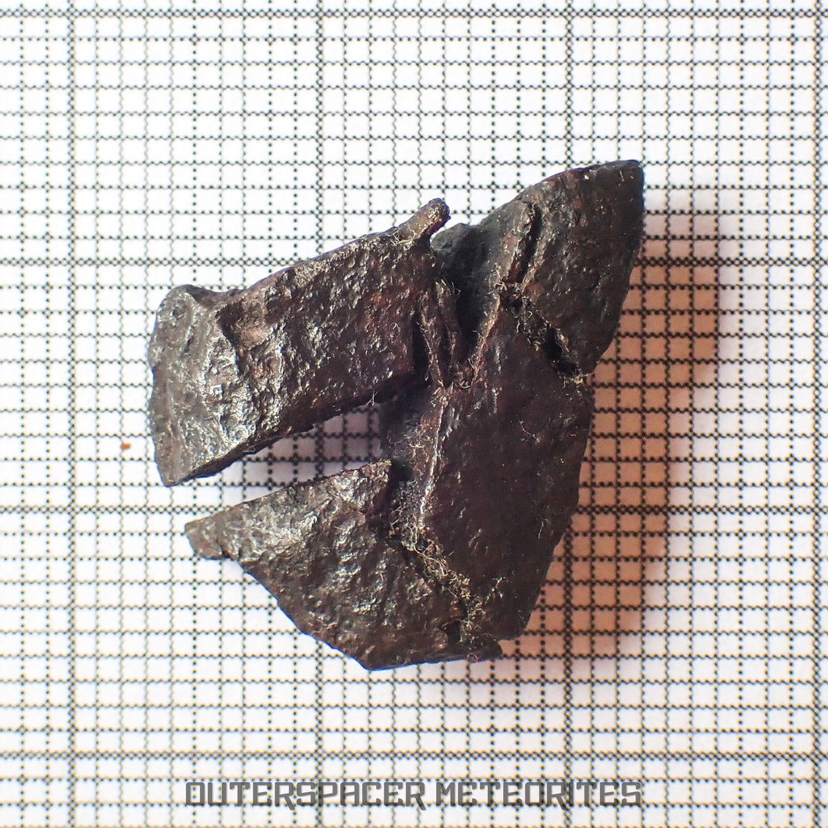 Gibeon - Iron, IVA  -  Complete Individual  -  5.47g  -  Namibia