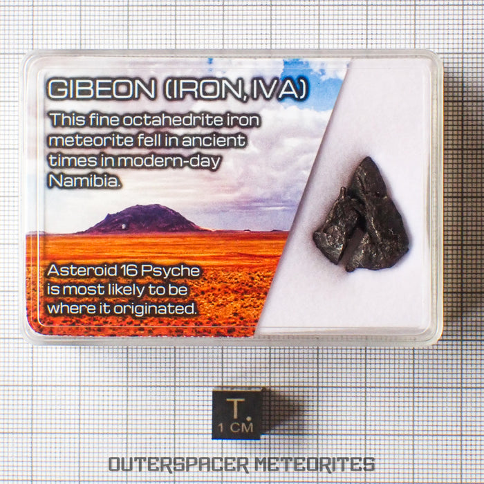 Gibeon - Iron, IVA  -  Complete Individual  -  5.47g  -  Namibia
