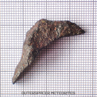 Gibeon - Fer, IVA - Individuel complet - 7,36g - Namibie