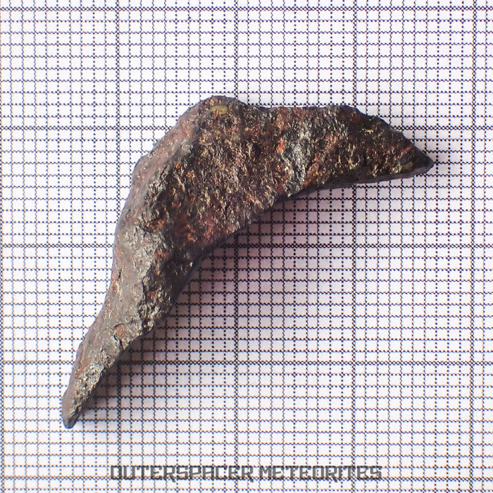 Gibeon - Iron, IVA  -  Complete Individual  -  7.36g  -  Namibia
