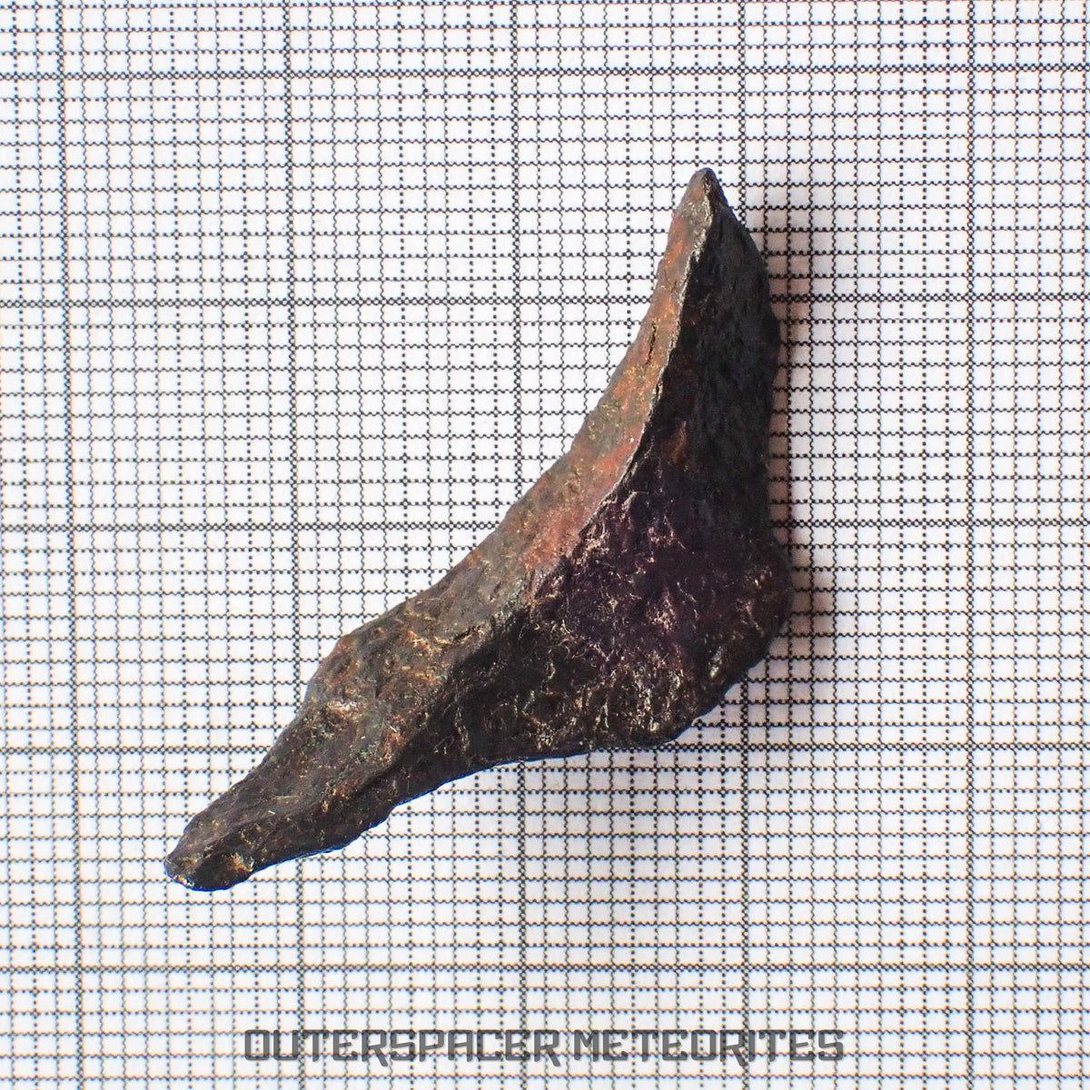 Gibeon - Fer, IVA - Individuel complet - 7,36g - Namibie