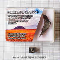 Gibeon - Fer, IVA - Individuel complet - 7,36g - Namibie