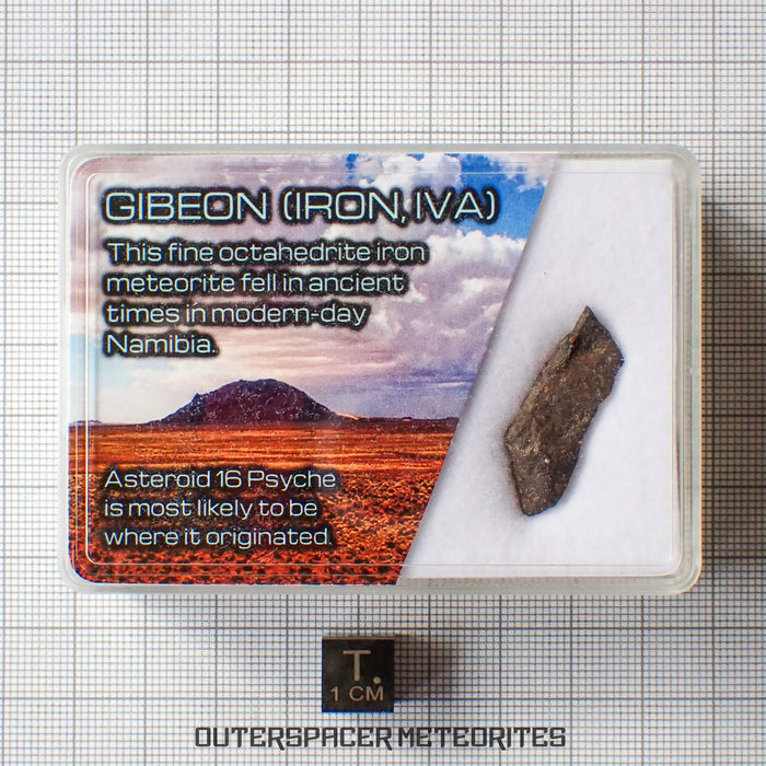 Gibeon - Iron, IVA  -  Complete Individual  -  3.31g  -  Namibia
