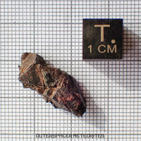 Gibeon - Fer, IVA - Individu complet - 4,58g - Namibie