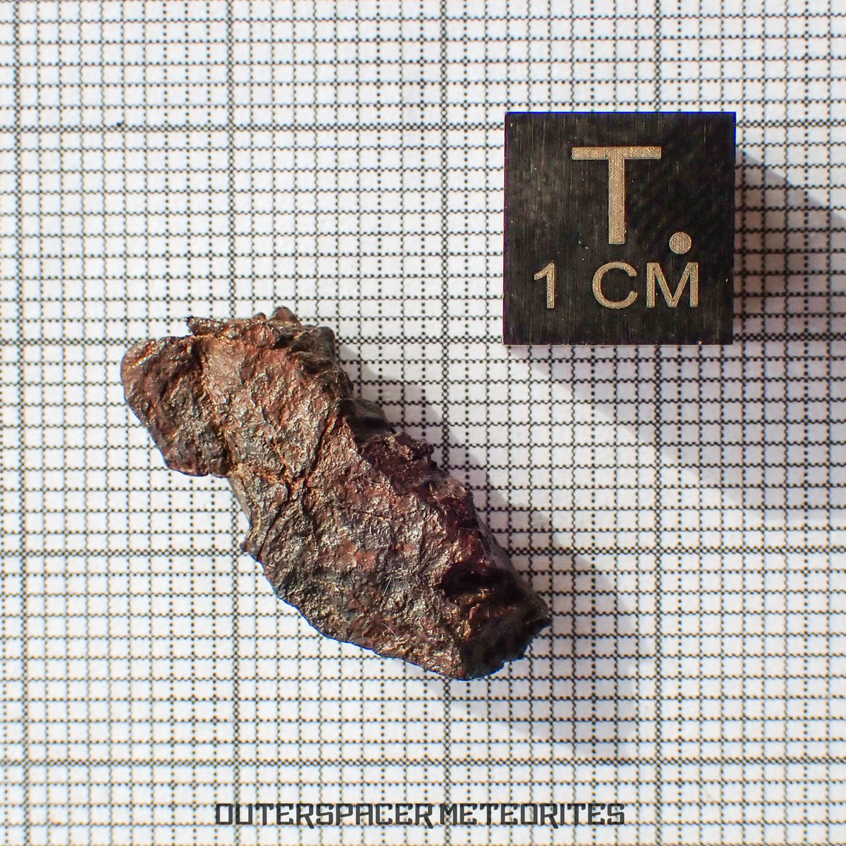 Gibeon - Fer, IVA - Individu complet - 4,58g - Namibie