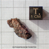 Gibeon - Fer, IVA - Individu complet - 4,58g - Namibie