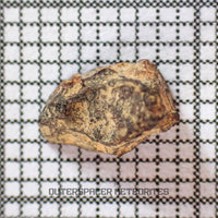 Grapevine Mesa - CBa Carbonaceous Chondrite - Fragment - 0.26g - USA (Arizona)