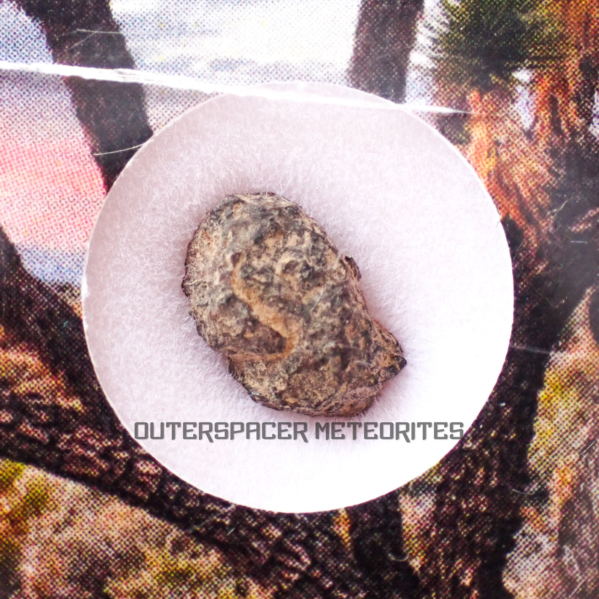 Grapevine Mesa - CBa Carbonaceous Chondrite - Fragment - 0.31g - USA (Arizona)