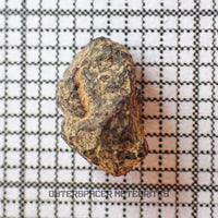 Grapevine Mesa - CBa Carbonaceous Chondrite - Fragment - 0.31g - USA (Arizona)
