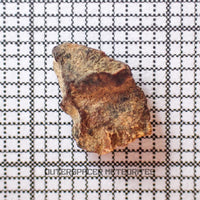 Grapevine Mesa - CBa Carbonaceous Chondrite - Fragment - 0.18g - USA (Arizona)