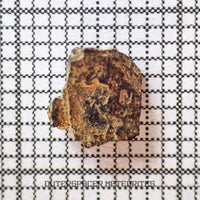 Grapevine Mesa - CBa Carbonaceous Chondrite - Fragment - 0.13g - USA (Arizona)
