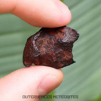 Henbury - Hierro, IIIAB - Individual completo - 7,87g - Australia (Territorio del Norte)