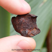 Henbury - Hierro, IIIAB - Individual completo - 7,87g - Australia (Territorio del Norte)
