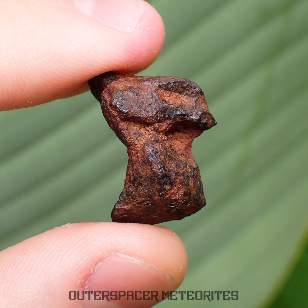Henbury - Iron, IIIAB - Complete Individual - 8.34g - Australia (Northern Territory)