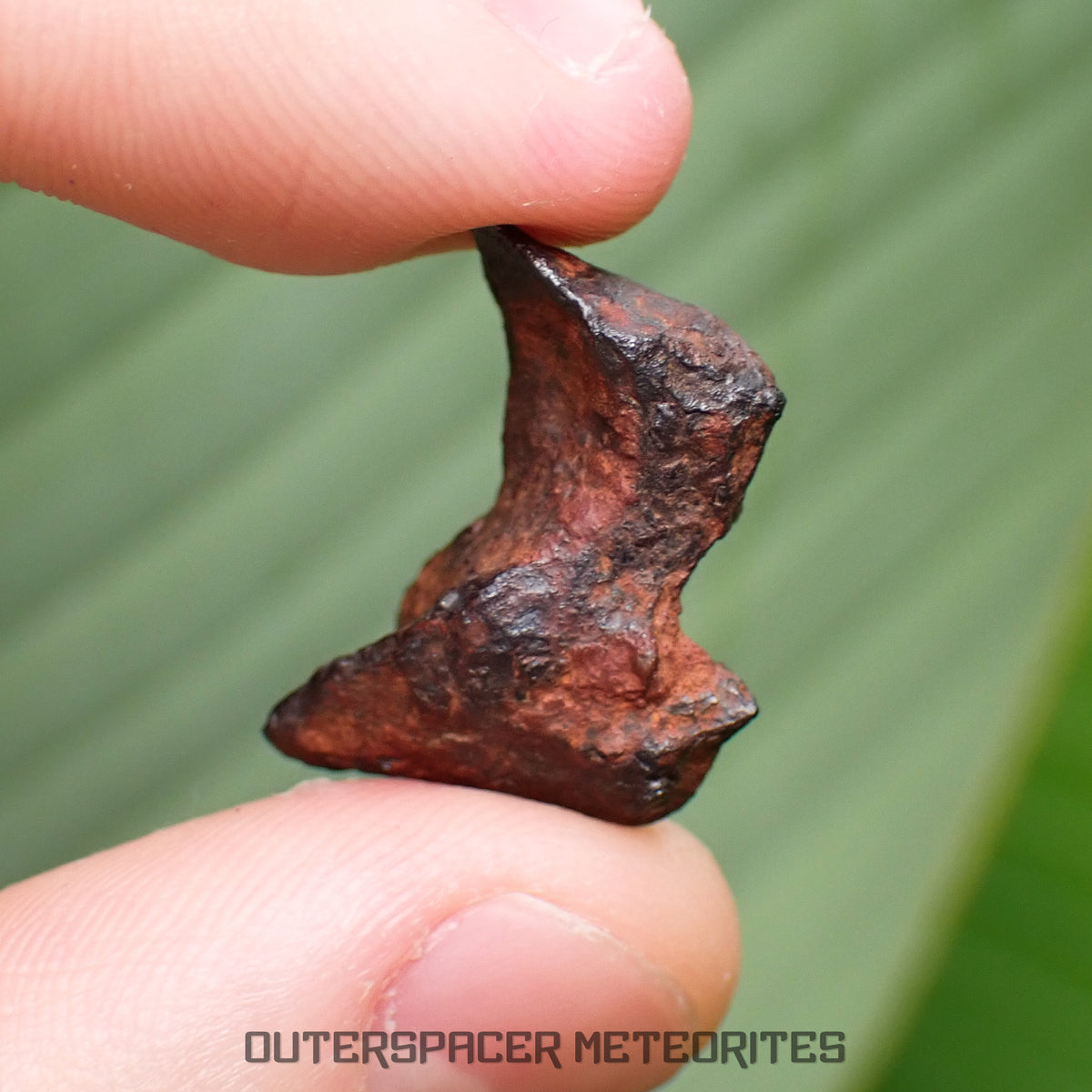 Henbury - Iron, IIIAB - Complete Individual - 8.34g - Australia (Northern Territory)