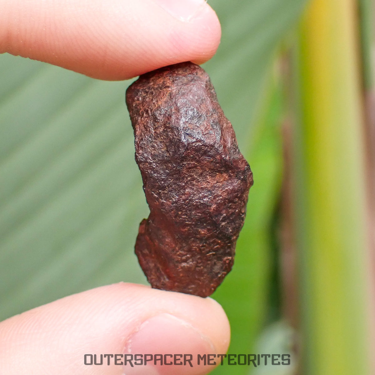 Henbury - Fer, IIIAB - Individu complet - 9.85g - Australie (Territoire du Nord)