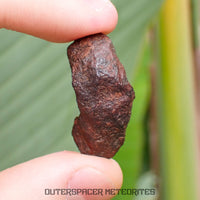 Henbury - Fer, IIIAB - Individu complet - 9.85g - Australie (Territoire du Nord)