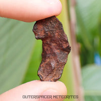 Henbury - Fer, IIIAB - Individu complet - 9.85g - Australie (Territoire du Nord)