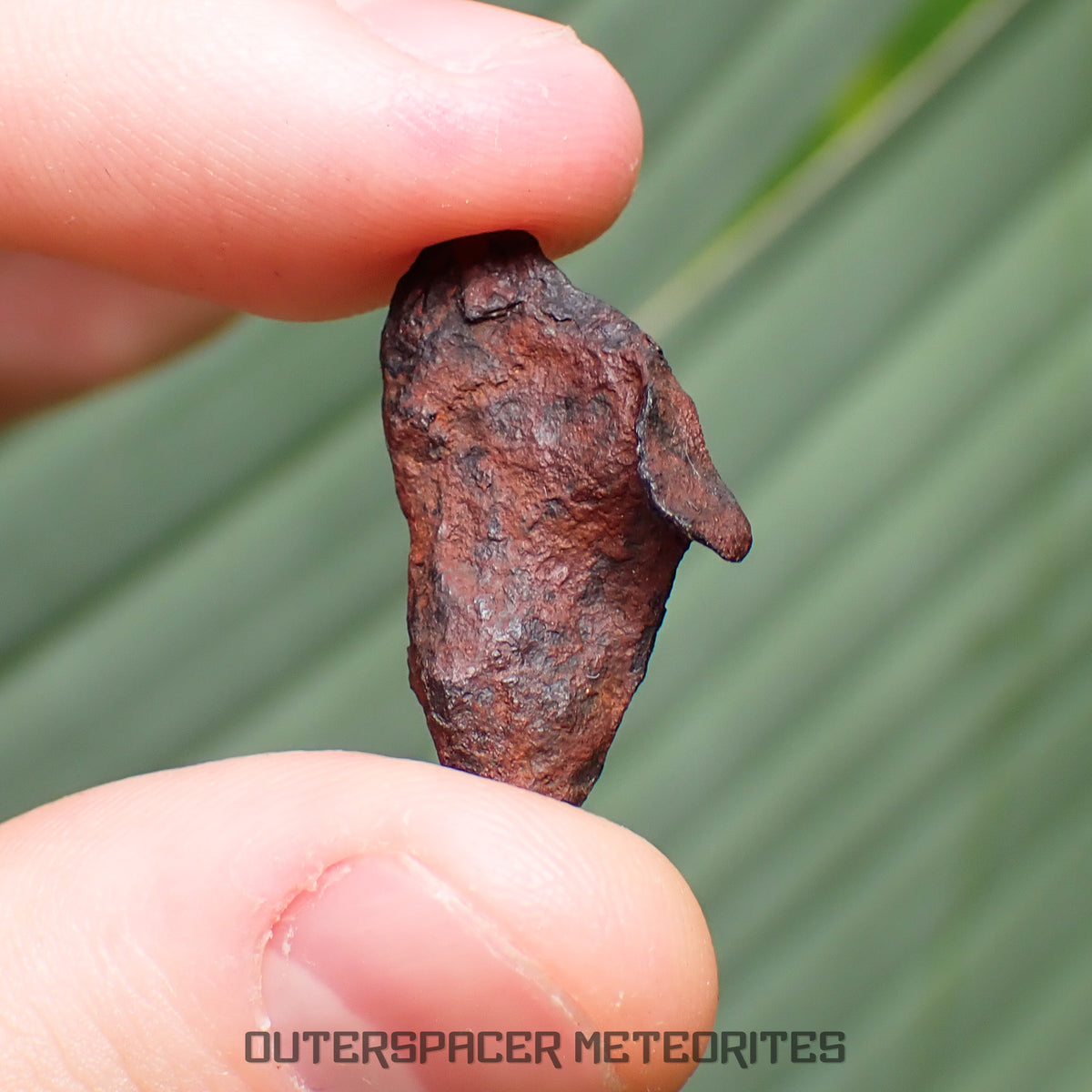 Henbury - Hierro, IIIAB - Individual completo - 4.16g - Australia (Territorio del Norte)