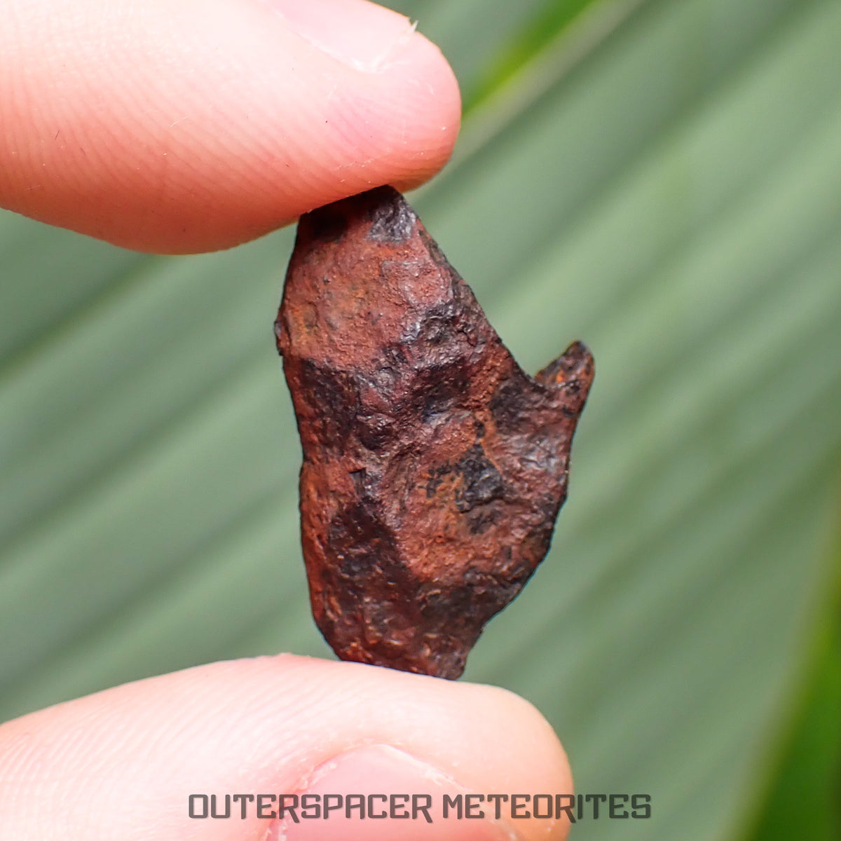 Henbury - Hierro, IIIAB - Individual completo - 4.16g - Australia (Territorio del Norte)