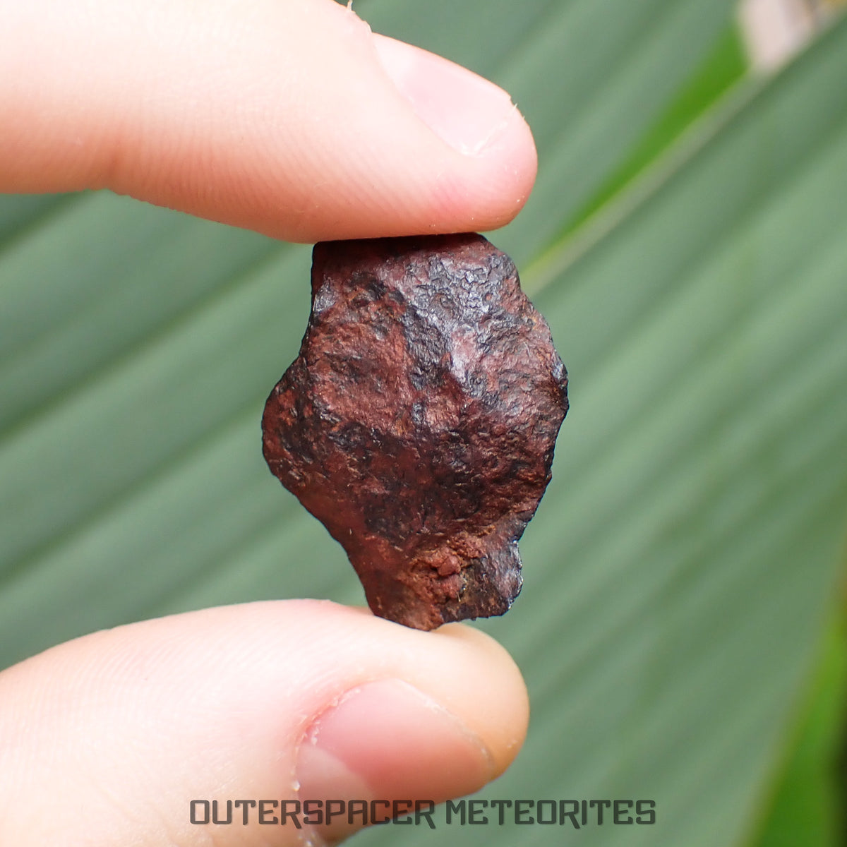 Henbury - Iron, IIIAB - Complete Individual - 6.81g - Australia (Northern Territory)