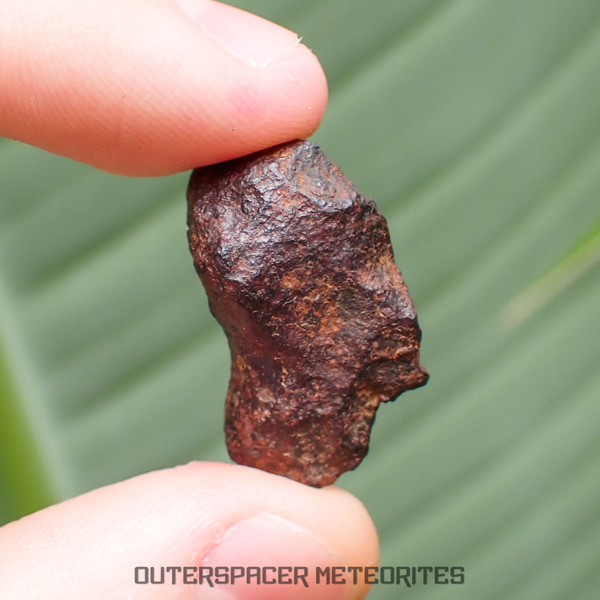 Henbury - Hierro, IIIAB - Completo individual - 8.43g - Australia (Territorio del Norte)