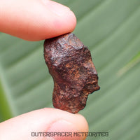 Henbury - Hierro, IIIAB - Completo individual - 8.43g - Australia (Territorio del Norte)