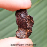 Henbury - Hierro, IIIAB - Completo individual - 8.43g - Australia (Territorio del Norte)